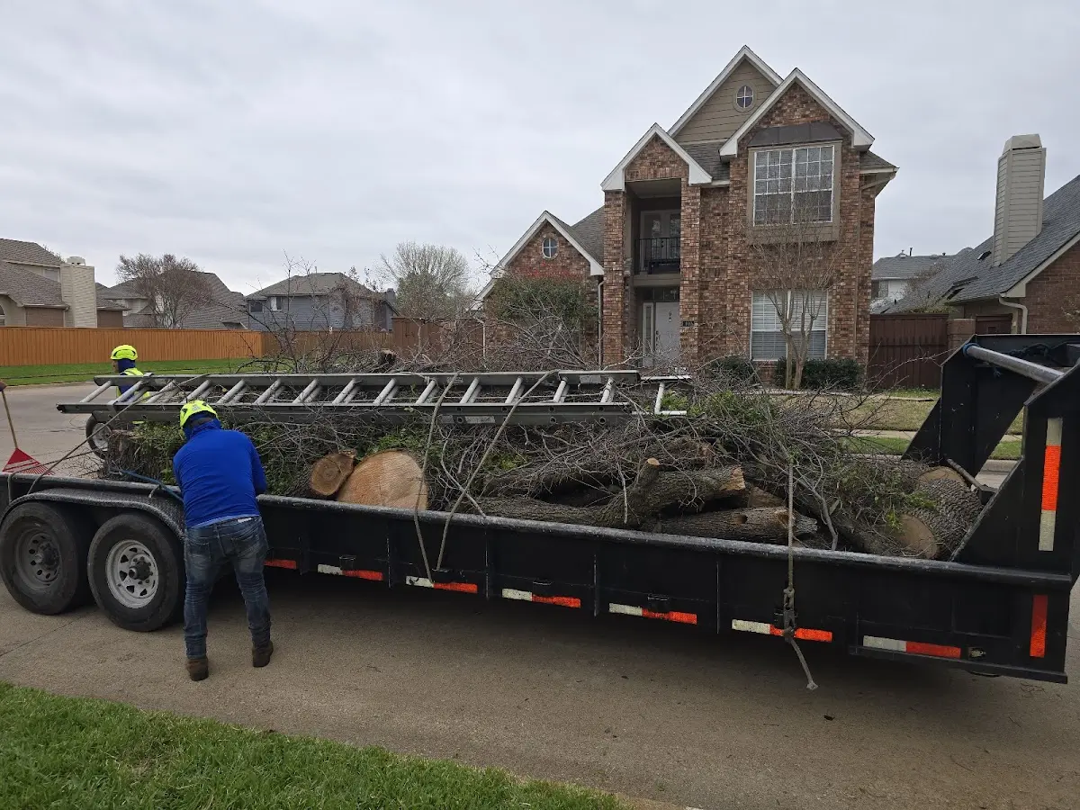 Expert Tree Removal with proper safety equipment in Lizton
